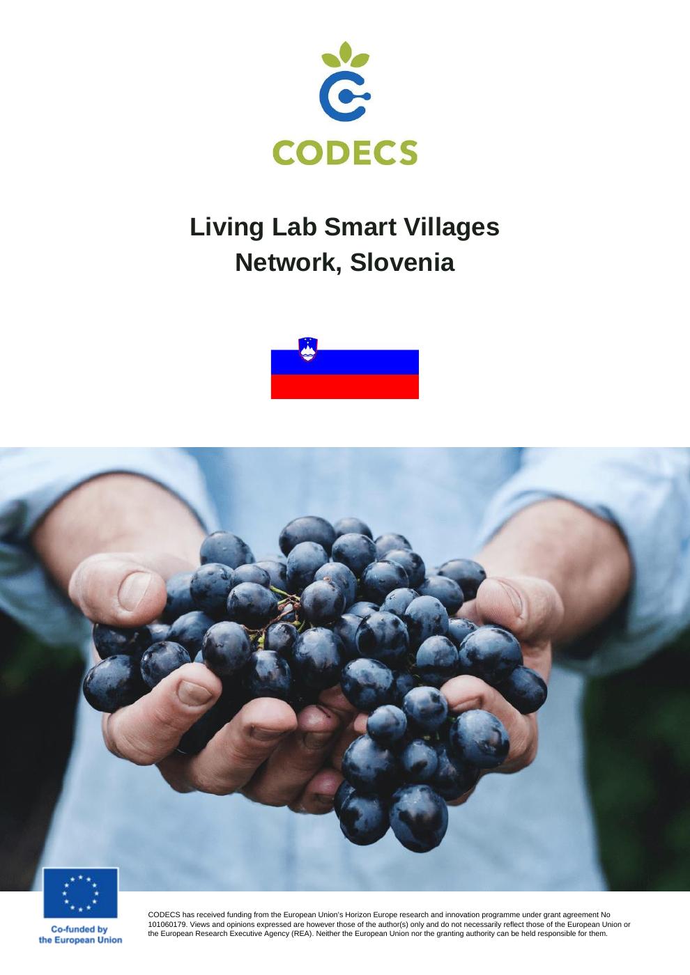 Living Lab Smart Villages Network, Slovenia