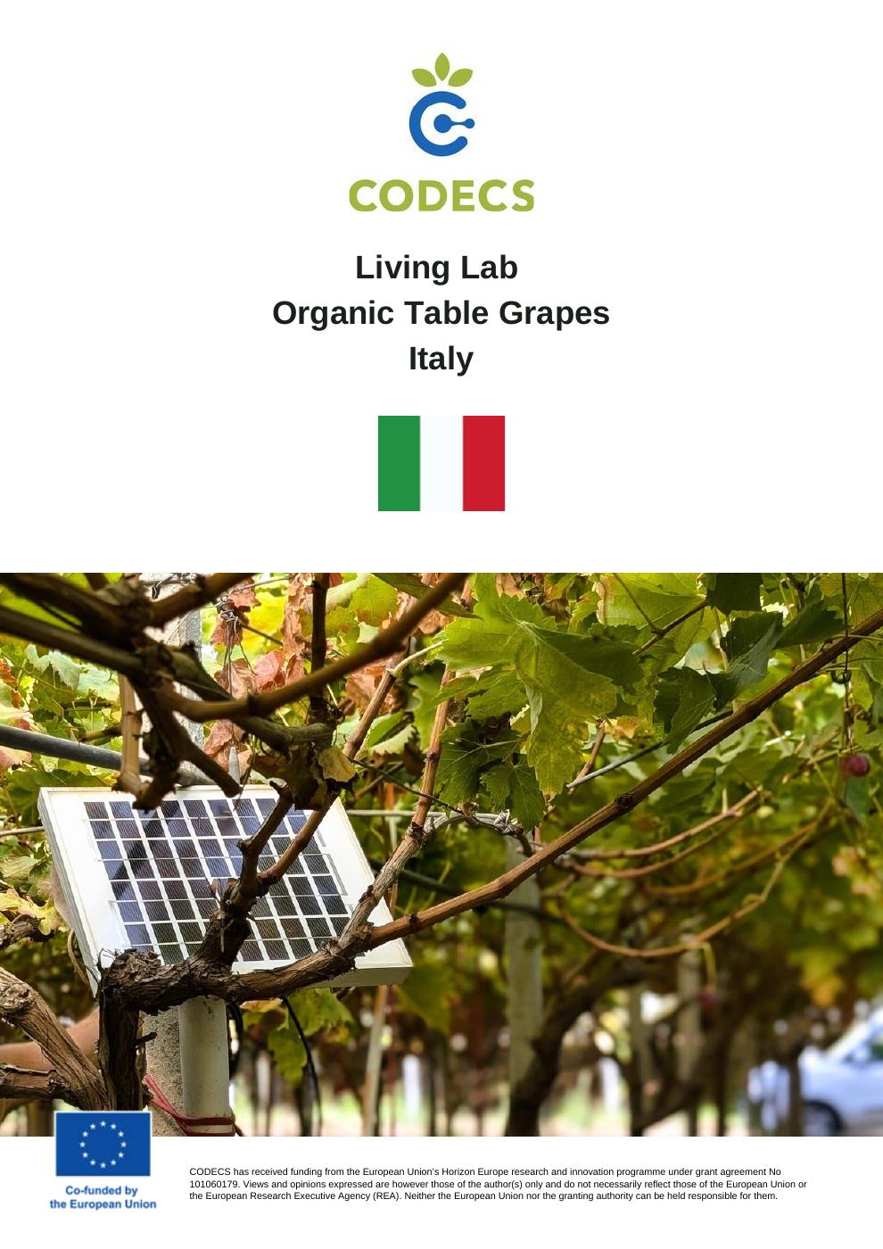 Organic Table Grapes, Italy
