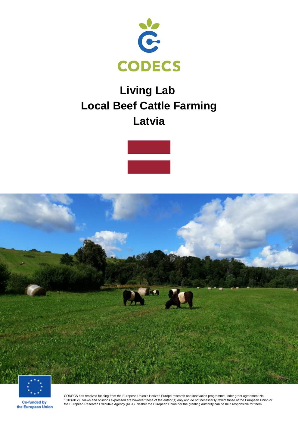 Local Beef Cattle Farming, Latvia