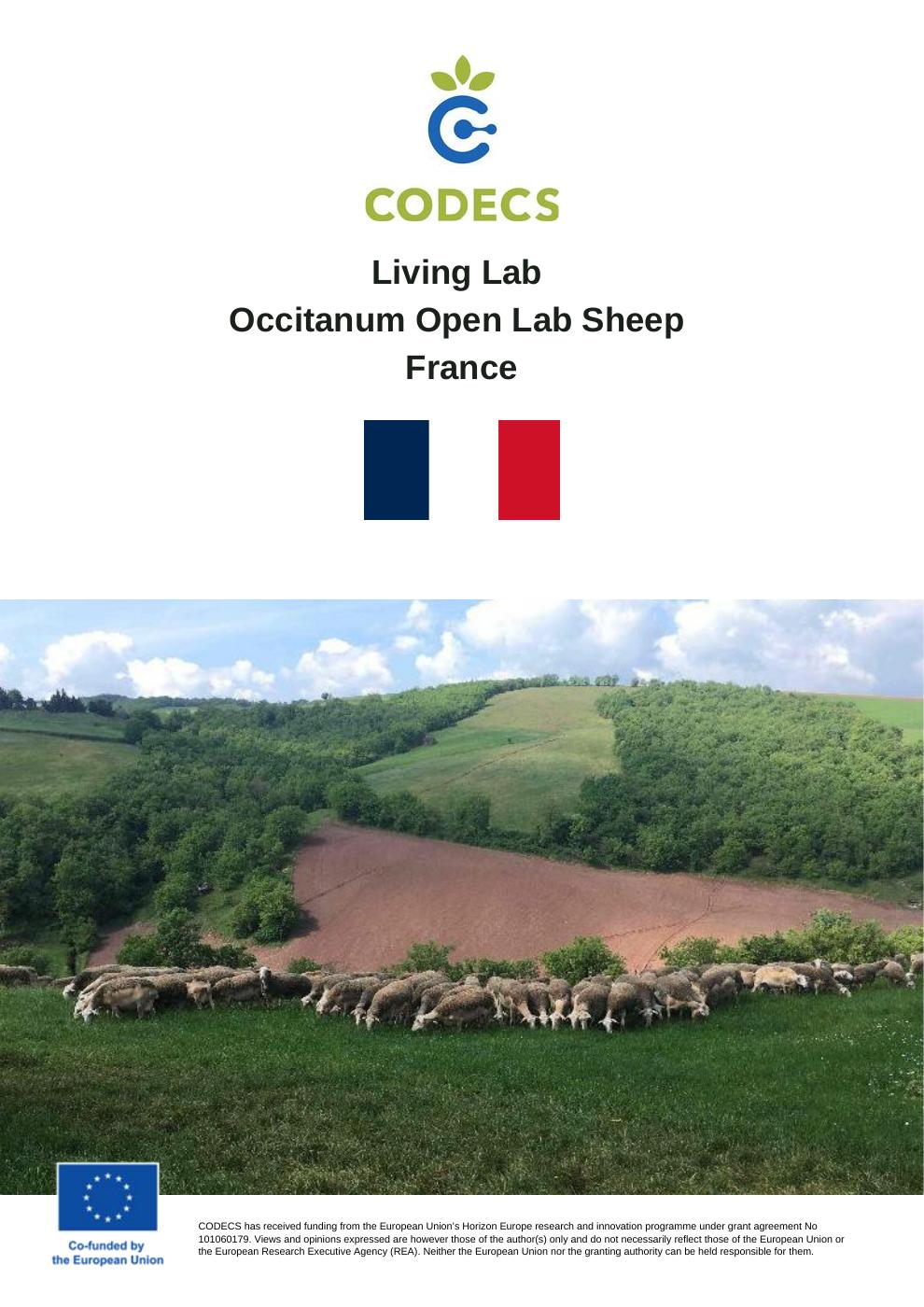 Occitanum Open Lab Sheep, France